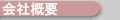 ЊTv